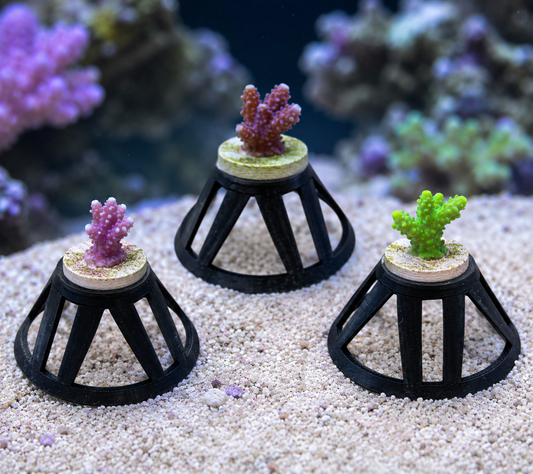 Reef-Safe Coral Frag Plug Stand – Pack of 3. Vision3D
