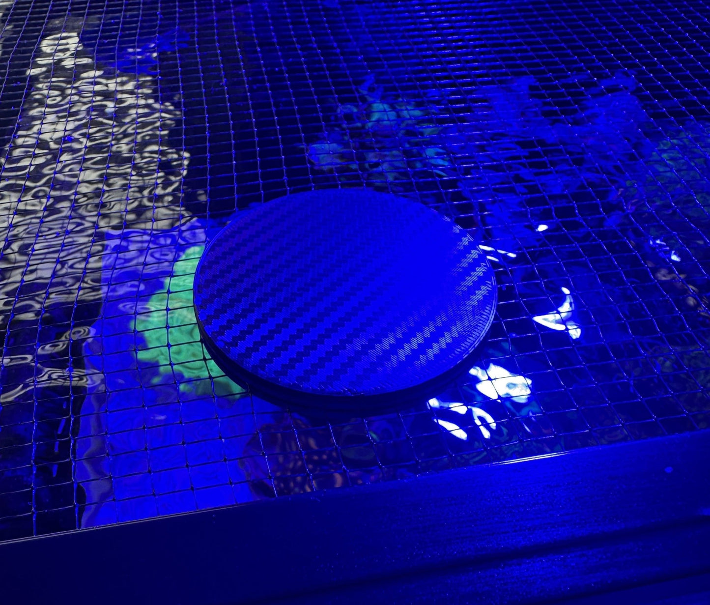 AquaPort Twin Pack Feeding Portal for Mesh Aquarium Lids - Vision3D