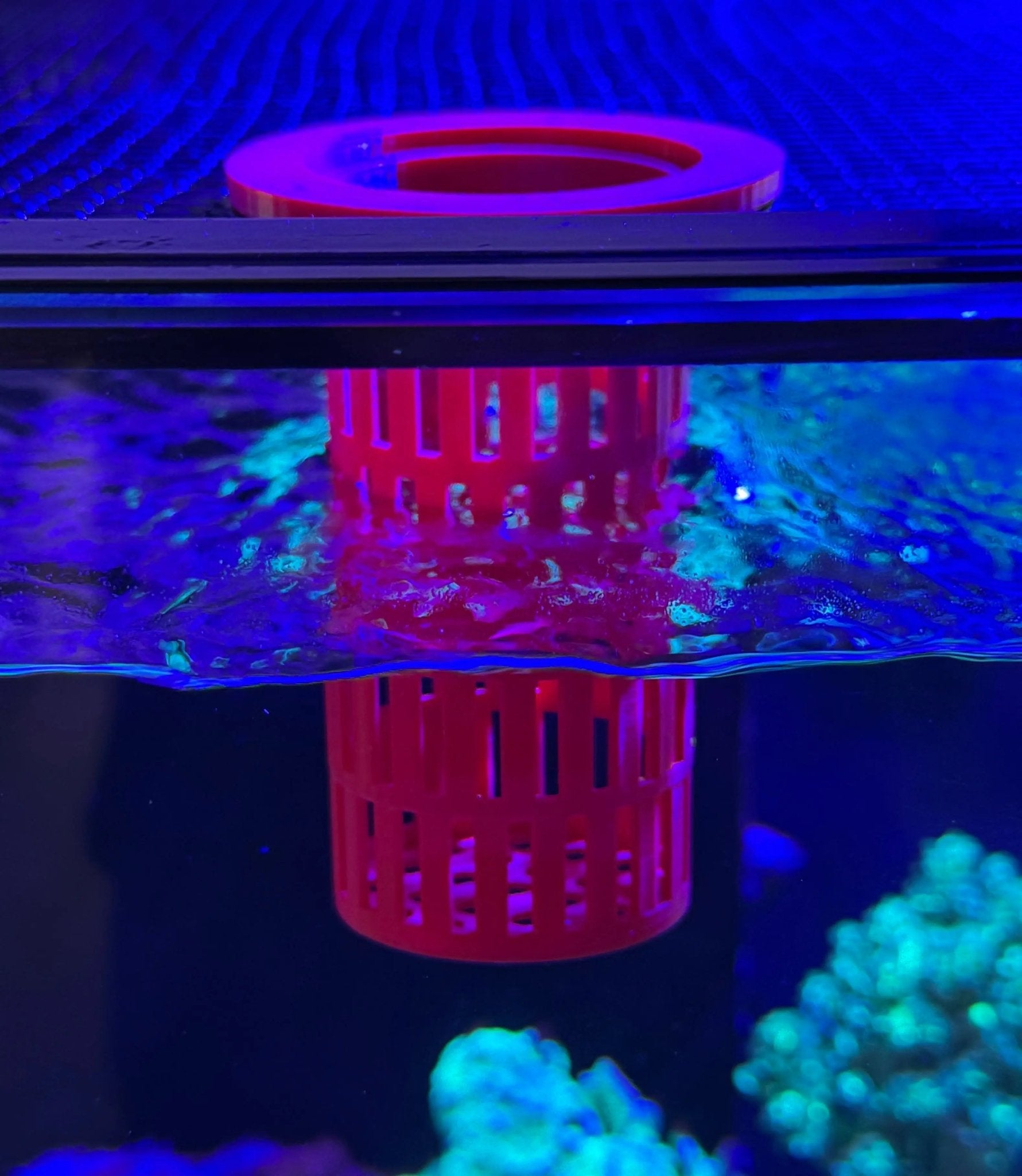 Frozen Fish Food Defroster – Fits D - D Feeding Portal - Vision3D