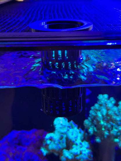 Frozen Fish Food Defroster – Fits D - D Feeding Portal - Vision3D