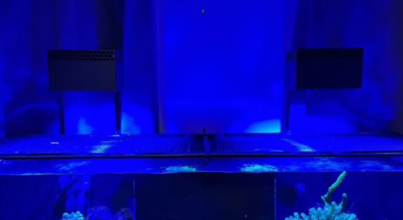 Red Sea ReefLED 90 light shade - Vision3D